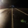 Gwinnett County police shared a photo of the stretch of Ga. 316 where Mecha Woodard was hit and killed.