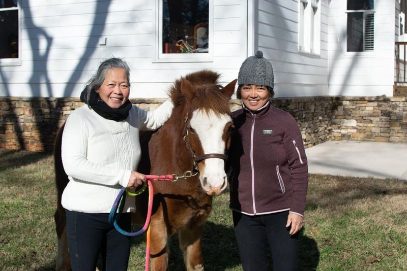 Joy Lim Nakrin's aunt, 74-year-old Betty Lim King, and her mother, 72-year-old Teresita Lim King, working with owner surrender Prince the pony in a cooler season. (Courtesy of Joyous Acres)