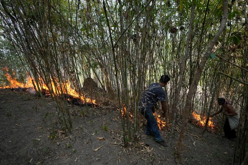 Members of the Pakanyo tribe set a fire in protected forest land at Chiang Mai province, Thailand, Monday, April 22, 2024. The Pakanyo, who have carried out the practice of controlled burns as long as they have lived in these hills near Chiang Mai, a top tourist destination, say they get blamed by city dwellers for fouling the air and damaging forest land. (AP Photo/Sakchai Lalit)