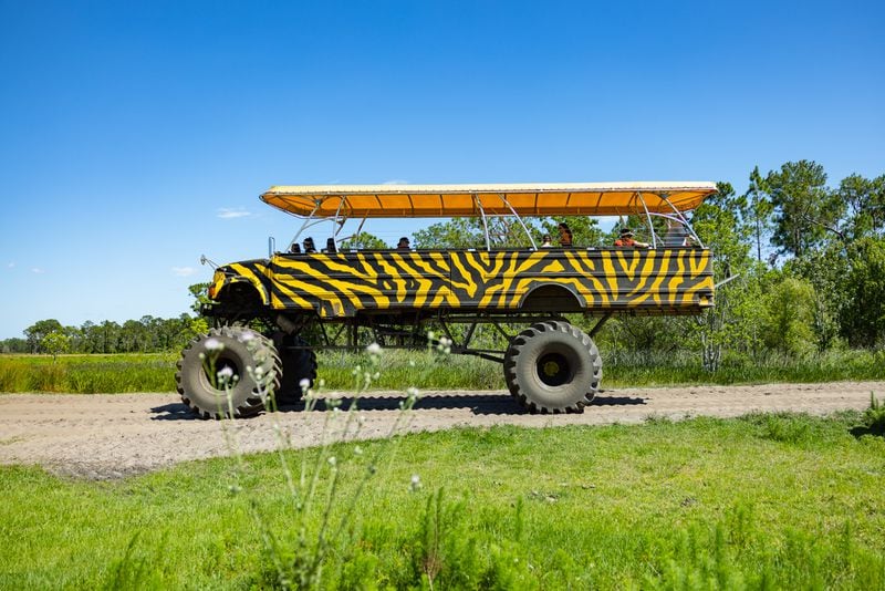 Take a monster truck ride through the citrus groves at Showcase of Citrus.
(Courtesy of Discover Lake County, Florida)