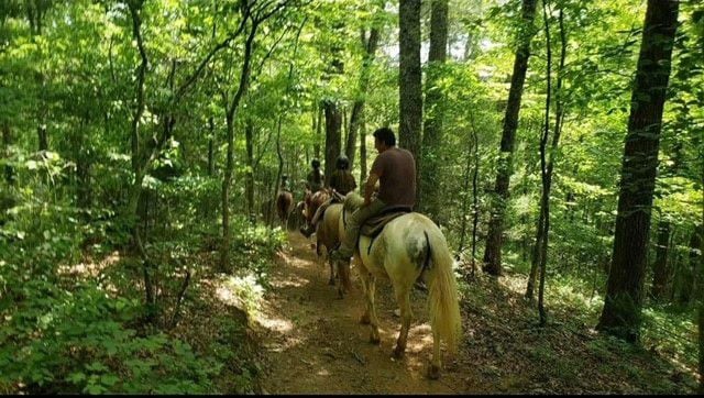 Appalachian Trail Rides is an outdoor getaway that’s not horsing around