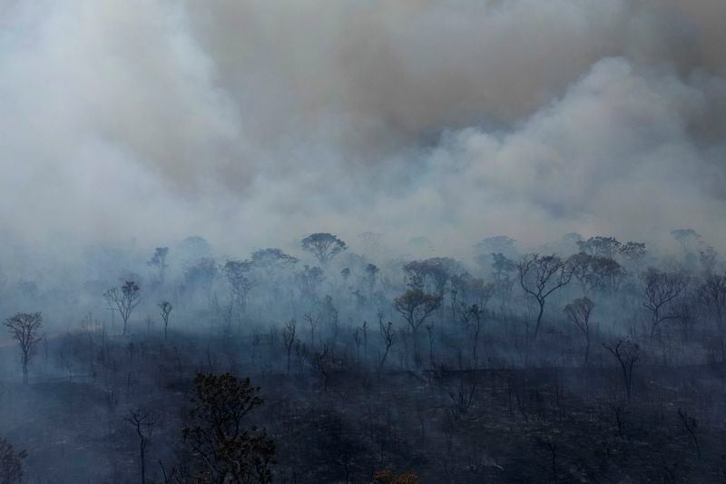 Smoke rises from fire in the environmentally protected area of Brasilia National Park during the dry season in Brasilia, Brazil, Monday, Sept. 16, 2024. The head of the agency that manages protected areas, Mauro Pires, told the local press that the fire is man-made and appears to have started near the edge of a farm. (AP Photo/Eraldo Peres)