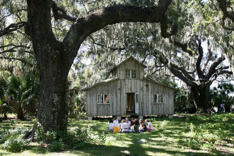 Students from Oglethorpe Charter School in Savannah draw inspiration from their setting beneath a giant mossy oak at the site of the Ossabaw Island Project on Thursday, Oct. 12, 2006. CURTIS COMPTON / THE ATLANTA JOURNAL-CONSTITUTION