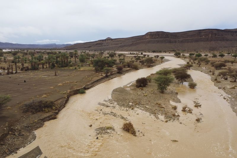 A desert oasis is flooded due to heavy rainfall in Tazarine, Zagora, southern Morocco, Sunday, Sept. 8, 2024. Moroccan authorities say exceptional weather has killed at least 11 people and destroyed homes in southern Morocco. (AP Photo)