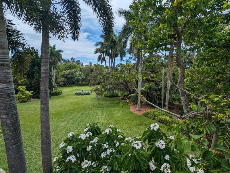 The lawn behind the Fairchild-Sweeney hous at The Kampong, The National Tropical Botanical Garden. (Courtesy of Brian Sidoti)