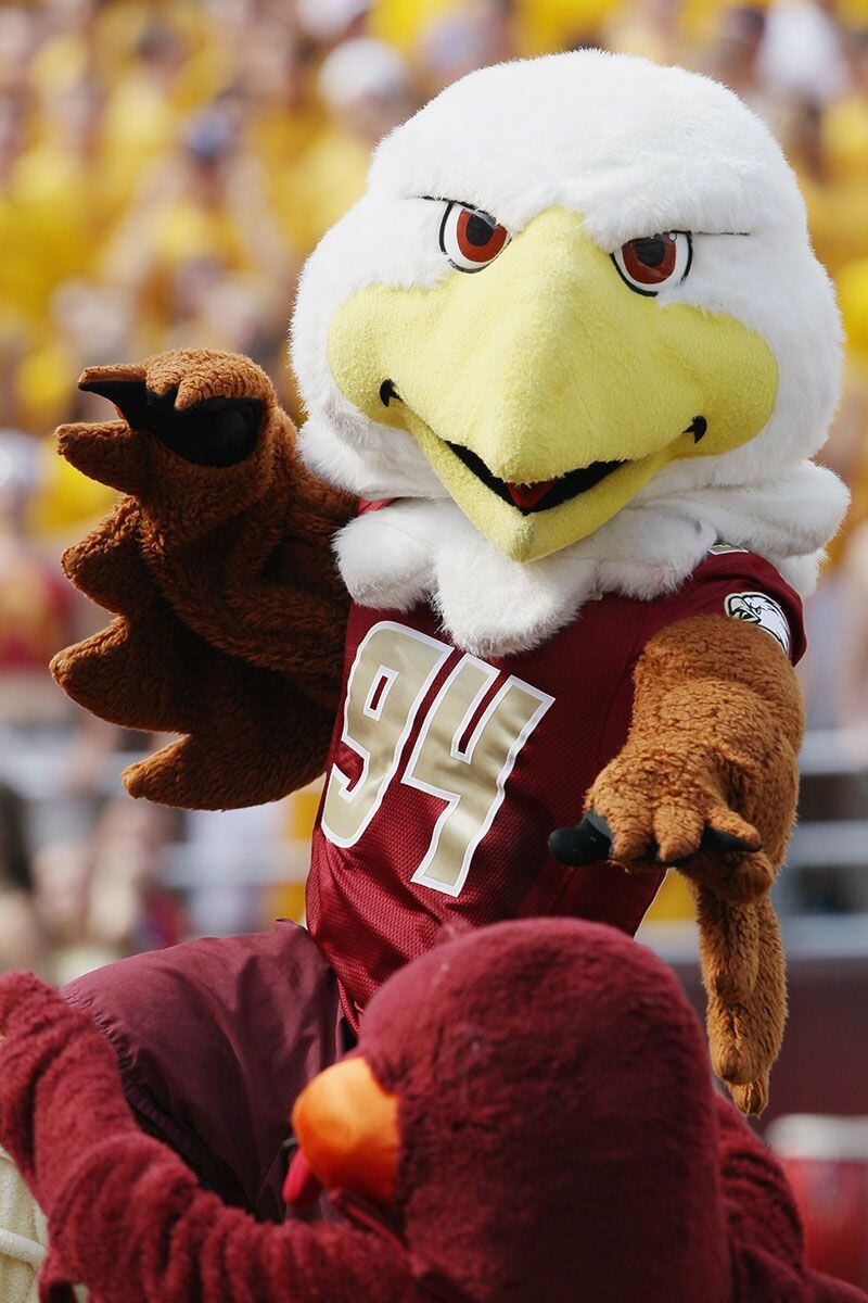 College football mascots: The birds