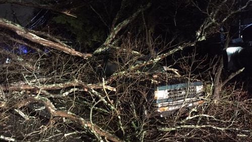 The heaviest weather struck south of the metro area, but a massive tree crashed to earth in East Point, damaging a house and several cars. (WSB-TV)