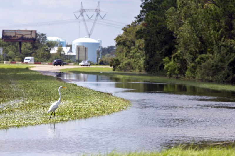 An egret forages next to the flooded on-ramp to Interstate 10 in Laplace, La., Friday, Sept. 13, 2024 , two days after Hurricane Francine swept through the area. (Chris Granger/The Times-Picayune/The New Orleans Advocate via AP)