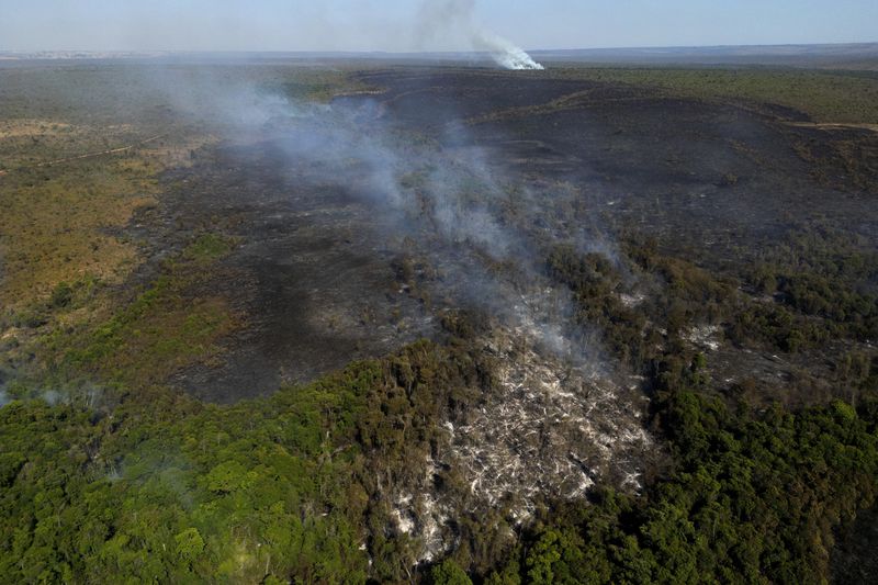 Smoke rises from fires in the environmentally protected area of Brasilia National Park during the dry season in Brasilia, Brazil, Monday, Sept. 16, 2024. The head of the agency that manages protected areas, Mauro Pires, told the local press that the fire was man-made and appears to have started near the edge of a farm. (AP Photo/Eraldo Peres)