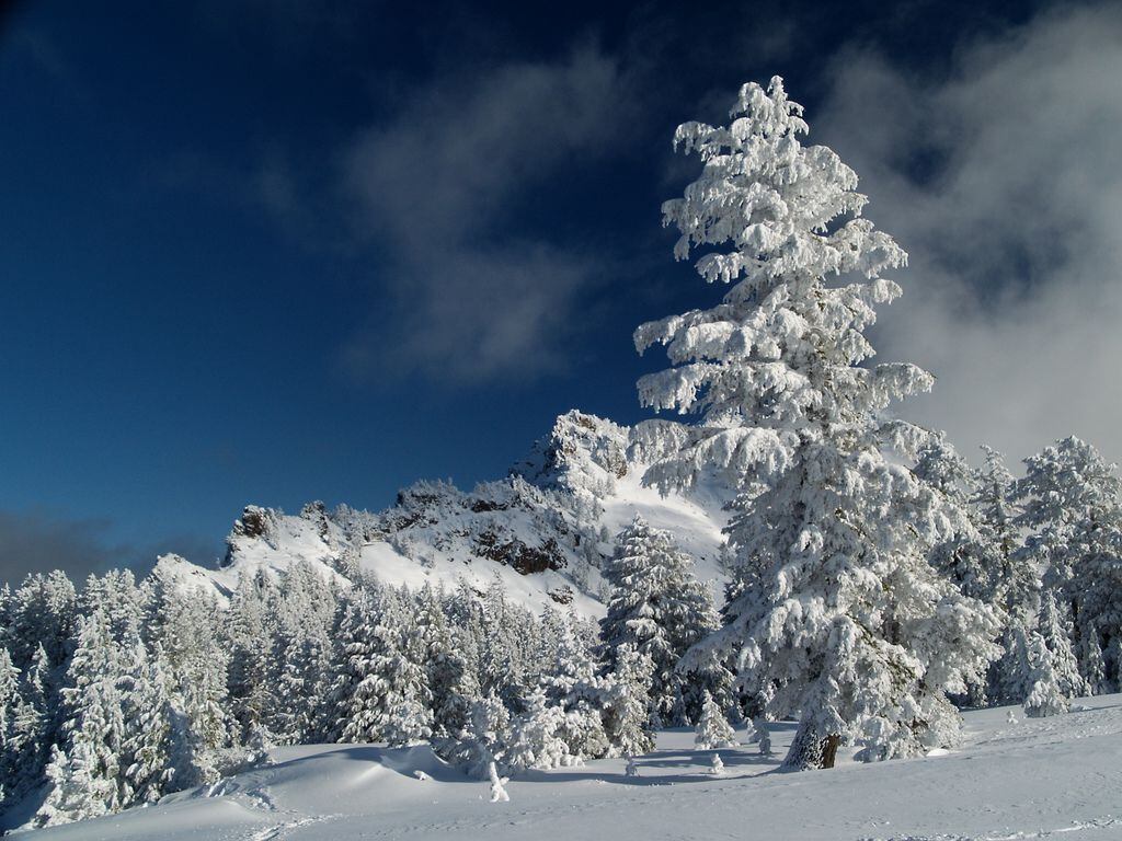 World's most beautiful winter scenes