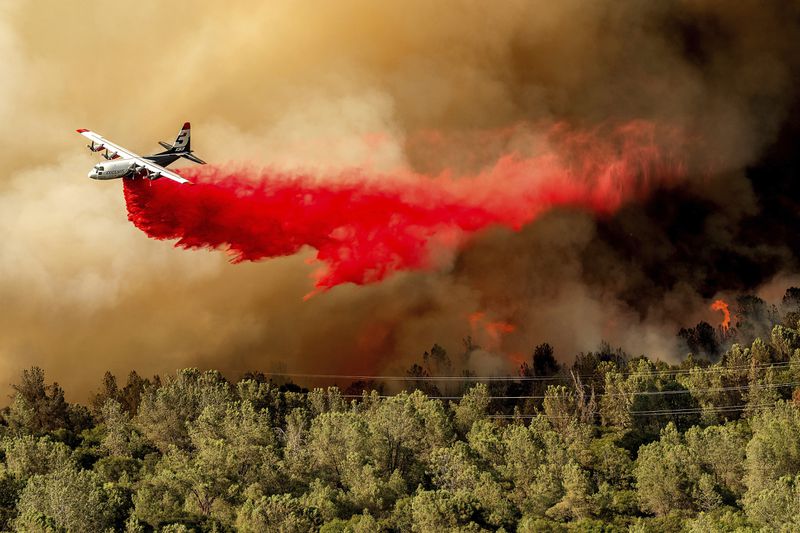 An air tanker drops retardant while battling the Thompson Fire in Oroville, Calif., Tuesday, July 2, 2024. An extended heatwave blanketing Northern California has resulted in red flag fire warnings and power shutoffs. (AP Photo/Noah Berger)