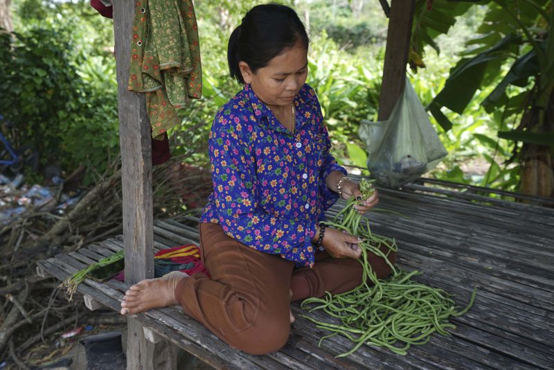 Norng La, a villager who lives along the Funan Techo Canal, prepares vegetable for her dinner at her home at Prek Takeo village, eastern Phnom Penh Cambodia, Tuesday, July 30, 2024. (AP Photo/Heng Sinith)