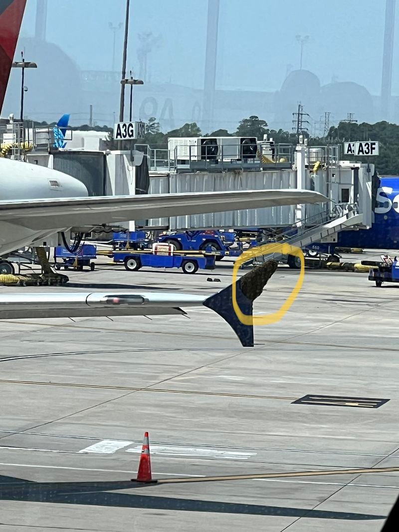 A swarm of bees congregate on the wing of an Atlanta-bound Delta jet, delaying the flight from Houston by more than four hours.