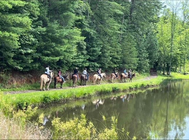 Appalachian Trail Rides is an outdoor getaway that’s not horsing around