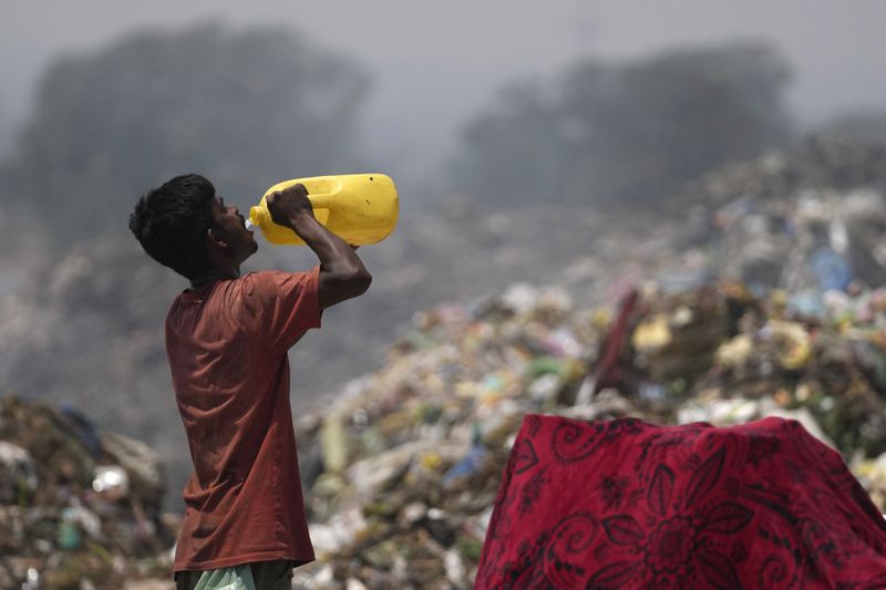 A waste picker drinks water while working during a heat wave at a garbage dump on the outskirts of Jammu, India, Wednesday, June 19, 2024. Waste pickers endure a miserable job that is growing more dangerous as climate change leads to rising heat. (AP Photo/Channi Anand)