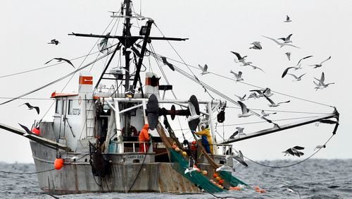 FILE- Gulls follow a commercial fishing boat as crewmen haul in their catch in the Gulf of Maine, in this Jan. 17, 2012 file photo. TExecutive branch agencies will likely have more difficulty regulating the environment, public health, workplace safety and other issues under a far-reaching decision by the Supreme Court. The court's 6-3 ruling on Friday overturned a 1984 decision colloquially known as Chevron that has instructed lower courts to defer to federal agencies when laws passed by Congress are not crystal clear. (AP Photo/Robert F. Bukaty, File)