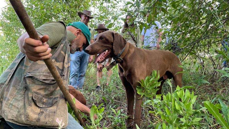 In Abruzzo, Italy, Experience BellaVita offers truffle hunting excursions with trained dogs.
(Courtesy of Experience BellaVita)