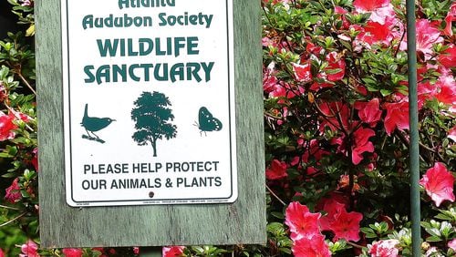 If your yard meets certain basic requirements for bird-friendly habitat, it could be certified by the Atlanta Audubon Society as a Wildlife Sanctuary. The society also would award you one of these signs to display in your yard. CHARLES SEABROOK