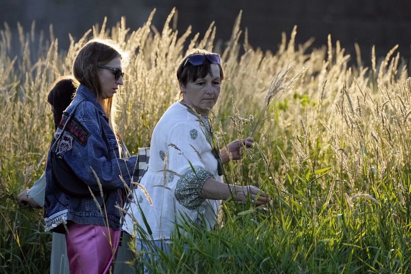 Ukrainian women collect ears of grain for their braids during a traditional Ukrainian celebration of Kupala Night, in Warsaw, Poland, on Saturday, June 22, 2024. Ukrainians in Warsaw jumped over a bonfire and floated braids to honor the vital powers of water and fire on the Vistula River bank Saturday night, as they celebrated their solstice tradition of Ivan Kupalo Night away from war-torn home. (AP Photo/Czarek Sokolowski)