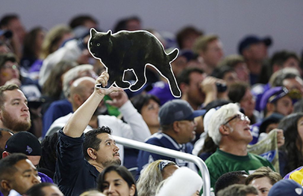 Celebrate the Black Cat that gave the Cowboys good luck with a new