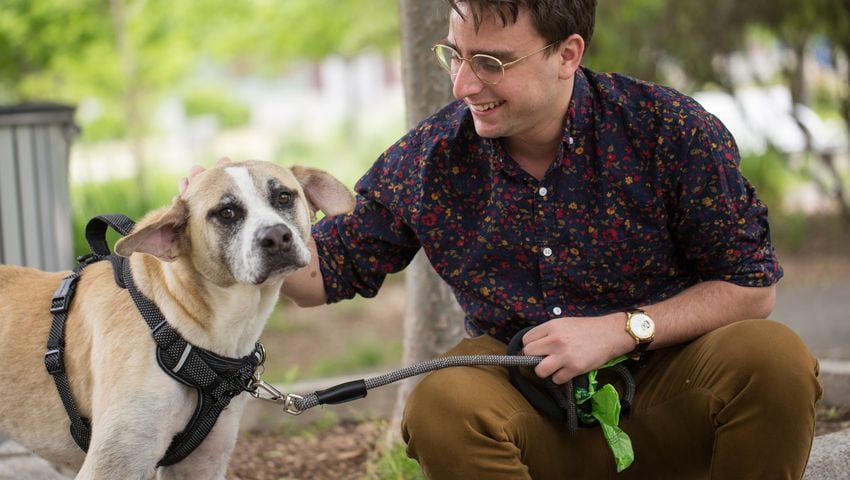 How to Crate Train Your Dog - LifeLine Animal Project