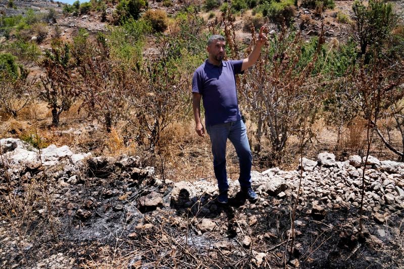 Ibrahim Nabaa, gestures as he stands in front of cherry trees that were burned by Israeli shelling at a cherry orchard, in Chebaa, a Lebanese town near the border with Israel, south Lebanon, Wednesday, June 26, 2024. With cease-fire talks faltering in Gaza and no clear offramp for the conflict on the Lebanon-Israel border, the daily exchanges of strikes between Hezbollah and Israeli forces have sparked fires that are tearing through forests and farmland on both sides of the frontline. (AP Photo/Hussein Malla)