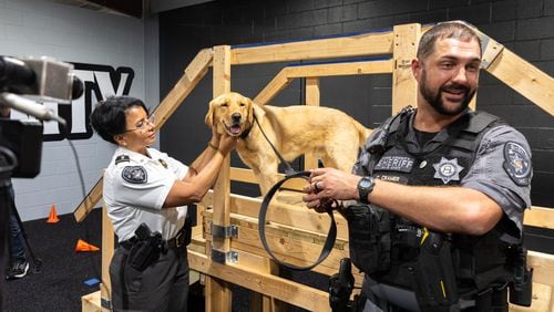 Sherlock, Cobb County's first K-9 trained to detect hidden electronic devices, gets in position for media interviews at the Cobb County Sheriff’s Office in Marietta on Friday, September 20, 2024, with Assistant Chief Gina Hawkins, left, and his handler Deputy Carl Cramer, right. (Arvin Temkar / AJC)