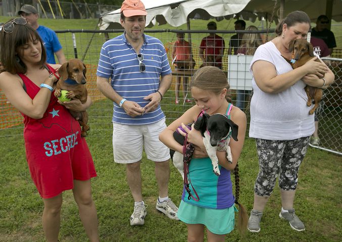 Buda Wiener Dog Race, 4.26.15