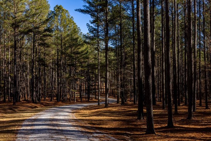 West Georgia hunting property