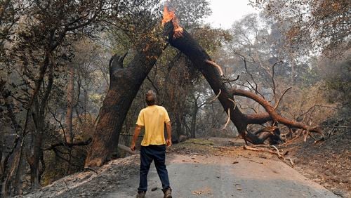 FILE - A man glances up at a tree that is blocking his way while attempting to go home after a fire ravaged the area on Mix Canyon Road in Vacaville, Calif., on Thursday, Aug. 20, 2020. (Jose Carlos Fajardo/Bay Area News Group via AP, File)