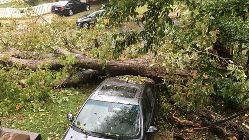 Meteorologists have compared Hurricane Helene to 2017's Hurricane Irma. AJC columnist Nedra Rhone reflects on the lesson she learned when Hurricane Irma downed a tree on her property leaving her with no water, no electricity and no car for several days.