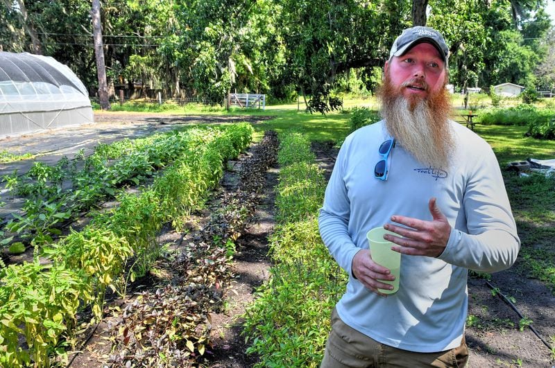 Potlikker holds certified naturally grown status. “It is very trust-based, but farmers are so glad to be certified something,” Sam McPherson said. Chris Hunt for The Atlanta Journal-Constitution 