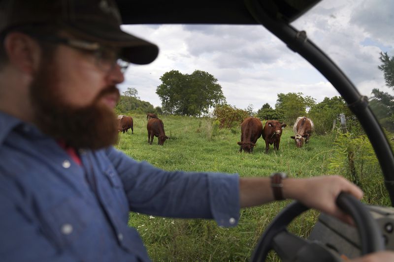 Presbyterian pastor Lee Scott drives through the pastures of his family farm in Butler, Pa., on Friday, Sept. 6, 2024. (AP Photo/Jessie Wardarski)