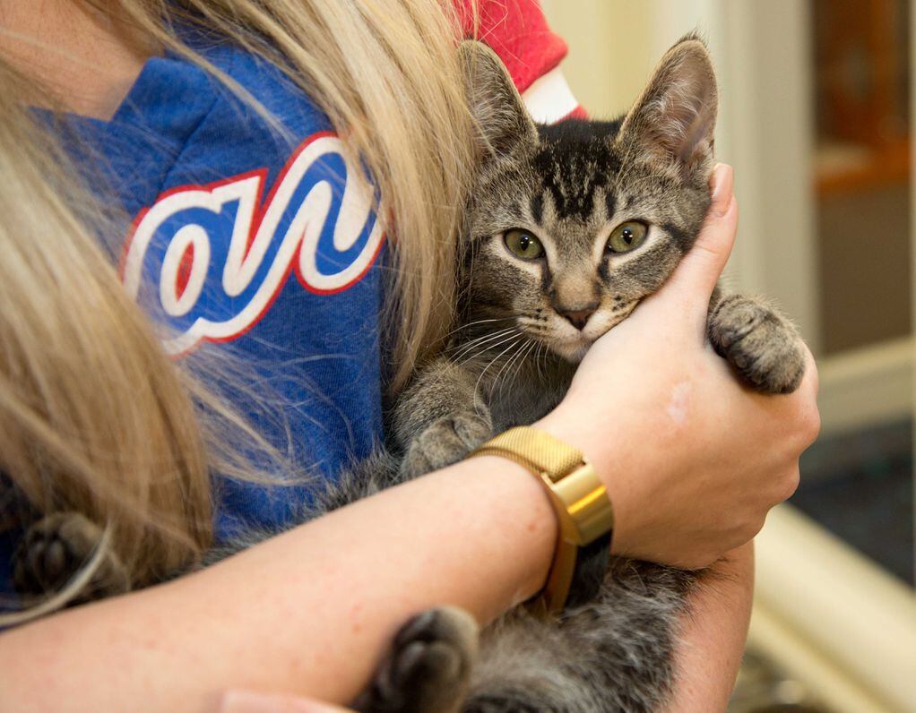 PHOTOS: Braves players Freeman and Culberson visit Cobb pet shelter