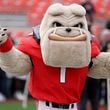 Georgia Bulldogs mascot Hairy Dawg greets fans during the dawg walk before their game against the Tennessee Volunteers at Sanford Stadium on Saturday, Nov. 5, 2022, in Athens, Ga. (Jason Getz/AJC)