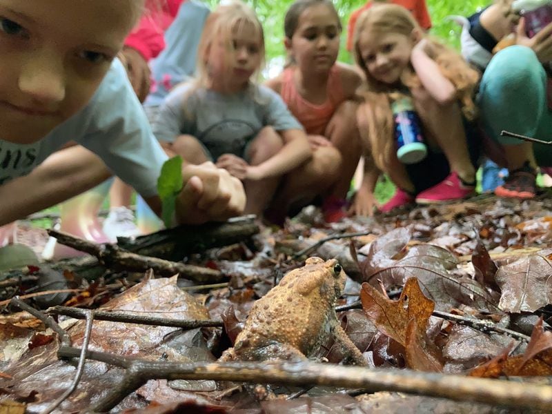 A frog fascinates children at the Elachee Nature Science Center. 
Photo courtesy of the Elachee Nature Science Center.