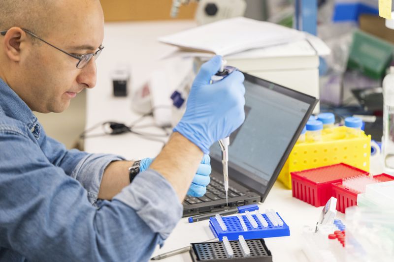 A lab technician prepares DNA samples for analysis at Complete Genomics in San Jose, Calif., Monday, July 22, 2024. (AP Photo/Nic Coury)