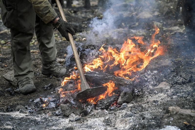 A hotshot works to burnout a bone pile while battling the First Thunder Fire on Wednesday morning, Sept. 4, 2024, west of Rapid City in the Black Hills, South Dakota. (Matt Gade/Rapid City Journal via AP)