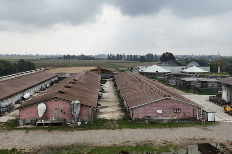 An overview of the empty shed at the Airoli & Sangalli farm in Corteolona, northern Italy, Wednesday, Sept. 25, 2024. (AP Photo/Luca Bruno)