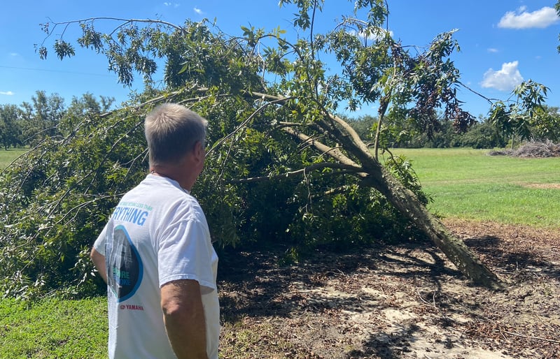 Vance Hiers, a Brooks County pecan farmer, stands in one of his orchard fields Oct. 2, 2024, roughly five days after Hurricane Helene torn through South Georgia. Instead of a thriving orchard, he's lost thousands of trees to recent hurricanes. (Zachary Hansen / AJC)