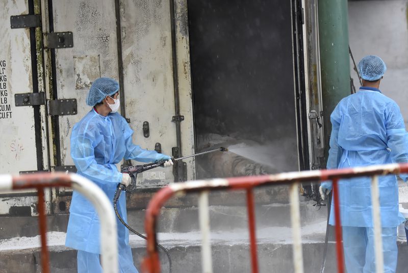 Animal health workers spray disinfectant on tigers that died of bird flu at Dong Xoai zoo in Bien Hoa city, Vietnam on Thursday, Oct. 3, 2024. (Phuoc Tuan/VNExpress via AP)