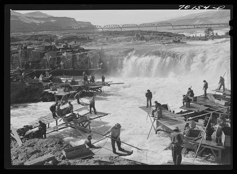 This historical photo provided by the Library of Congress shows Indians fishing for salmon at Celilo Falls, Oregon, on September 1941. The U.S. government on Tuesday, June 18, 2024, acknowledged for the first time the harms that the construction and operation of dams on the Columbia and Snake rivers in the Pacific Northwest have caused Native American tribes, issuing a report that details how the unprecedented structures devastated salmon runs, inundated villages and burial grounds, and continue to severely curtail the tribes' ability to exercise their treaty fishing rights. (Russell Lee/Library of Congress via AP)