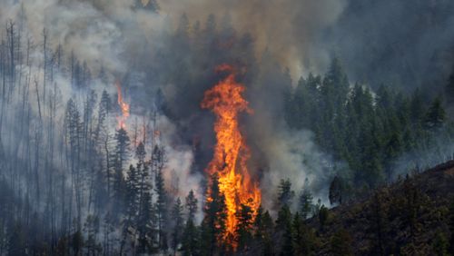 Flames rise amid the billowing smoke from a wildland fire burning along the ridges near the Ken Caryl Ranch development Wednesday, July 31, 2024, southwest of Littleton, Colo. (AP Photo/David Zalubowski)
