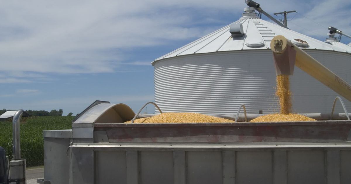 6 year old killed in grain silo accident authorities say