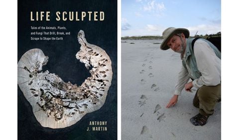 Emory scientist Tony Martin is the author of "Life Sculpted."
Courtesy of University of Chicago Press / Ruth Schowalter