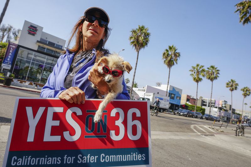 Robin Murez holds her dog "Astro" as she joins neighbors and local business owners to support California's Proposition 36 on the November ballot at a news conference in the Venice neighborhood of Los Angeles on Monday, Sept. 30, 2024. (AP Photo/Damian Dovarganes)