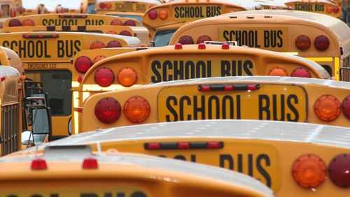 School buses. File photo. (Photo: AtelierKS/Pixabay/Creative Commons: https://pixabay.com/en/service/terms/#usage)