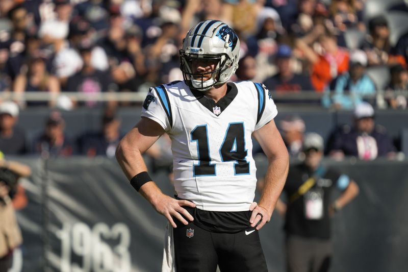 Carolina Panthers quarterback Andy Dalton (14) waits for a play against the Chicago Bears during the second half of an NFL football game Sunday, Oct. 6, 2024, in Chicago. (AP Photo/Nam Y. Huh)