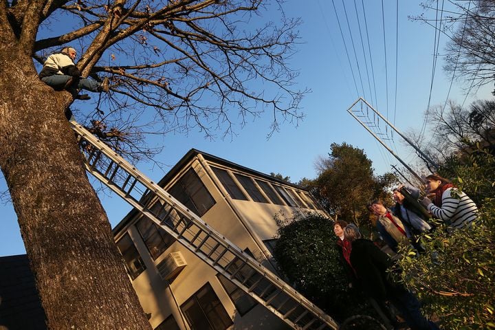 Woman climbs tree to stop Georgia Power