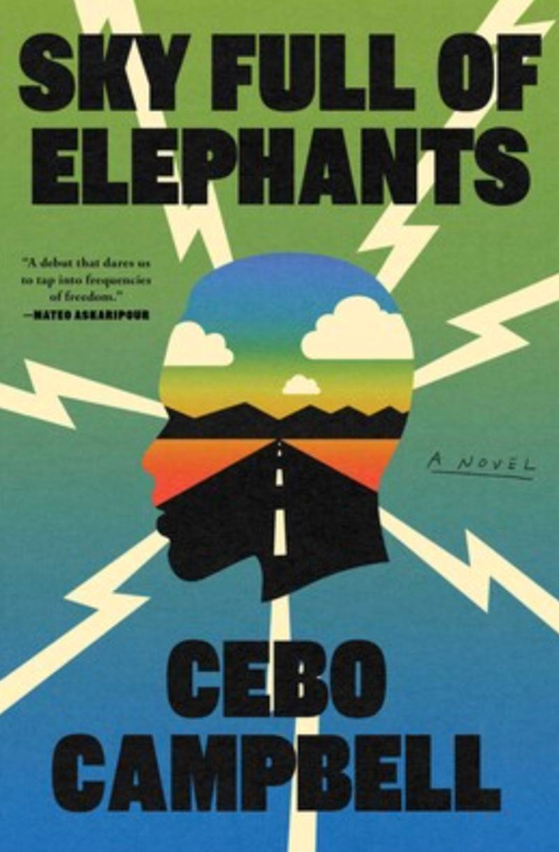 "Sky Full of Elephants" by Cebo Campbell
Courtesy of Simon & Schuster